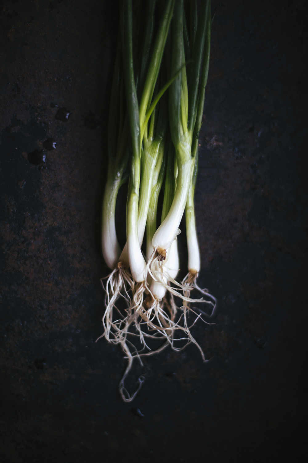 Pho_Bo_soup_photography_and_foodstyling_by_Amelie_Niederbuchner_Munich 