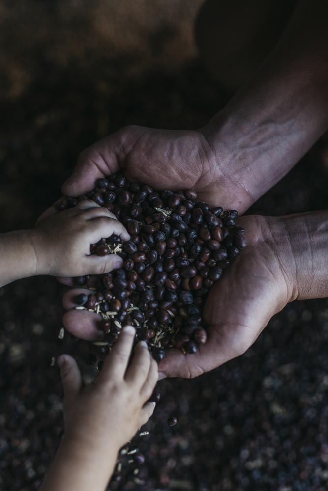 Amelie Niederbuchner