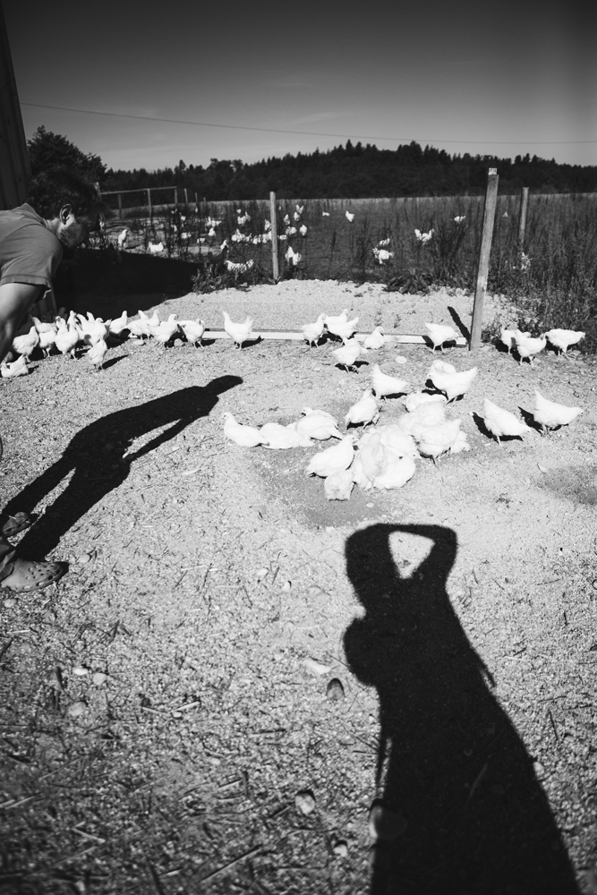 Les_Bleues_Chiemgauhof_Locking_Joanna_and_Florian_a_reportage_by_Amelie_Niederbuchner_photographer_munich_Food_Portrait_Reportage_Fotografie_München 