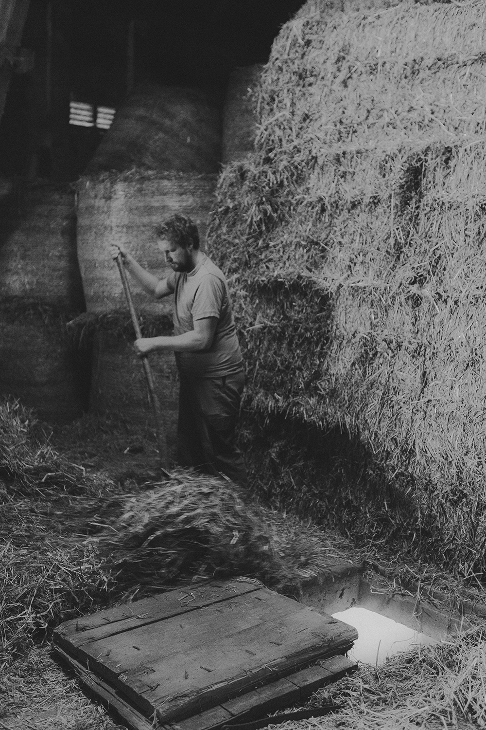 Amelie Niederbuchner