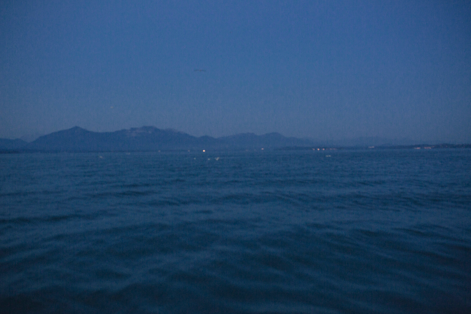 Fischerei_Lex_Fishery_Lake_Chiemsee_by_Amelie_Niederbuchner_Photographer_Munich_Fotograf_Fotografin_München_Food_Reportage 