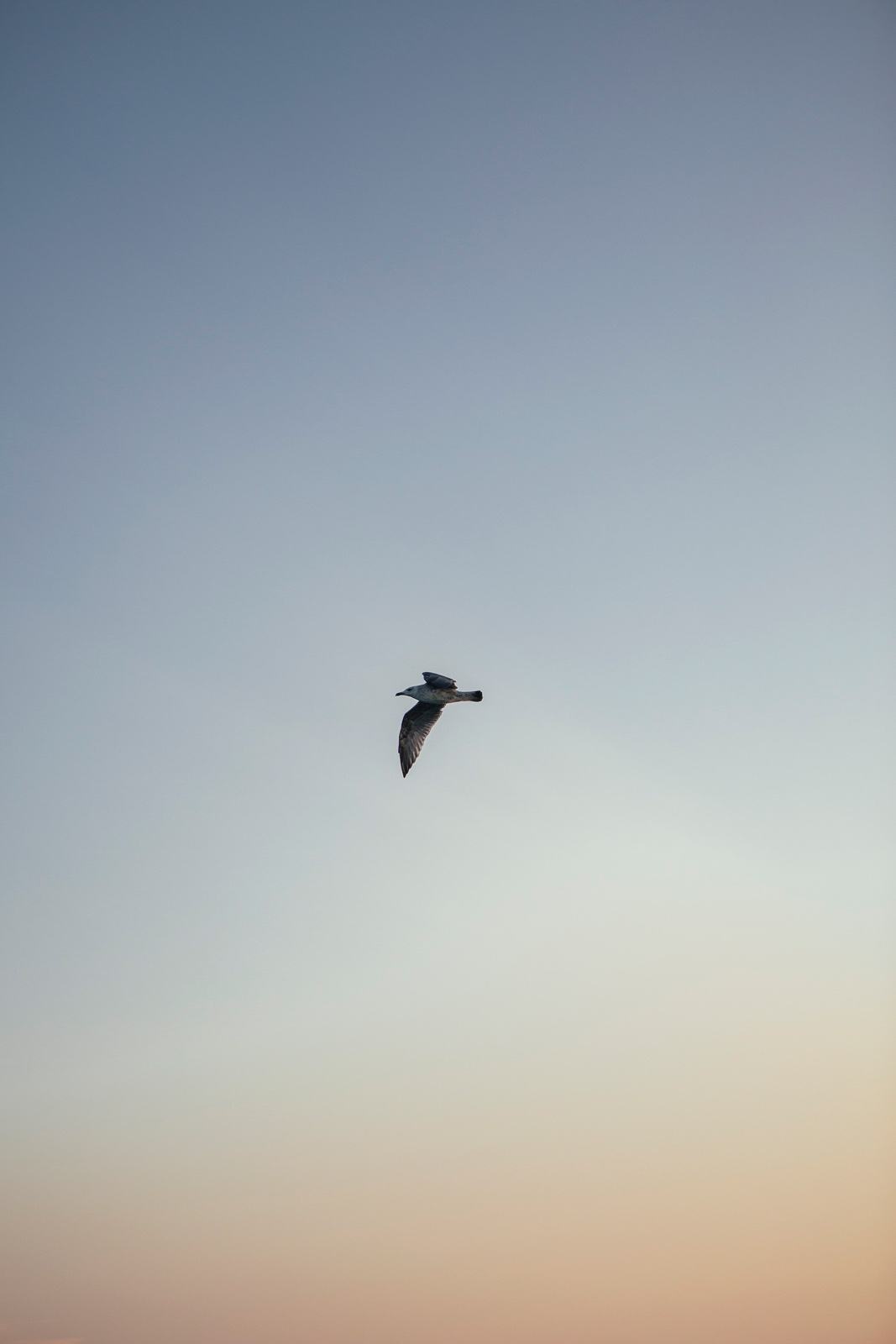 Fischerei_Lex_Fishery_Lake_Chiemsee_by_Amelie_Niederbuchner_Photographer_Munich_Fotograf_Fotografin_München_Food_Reportage 