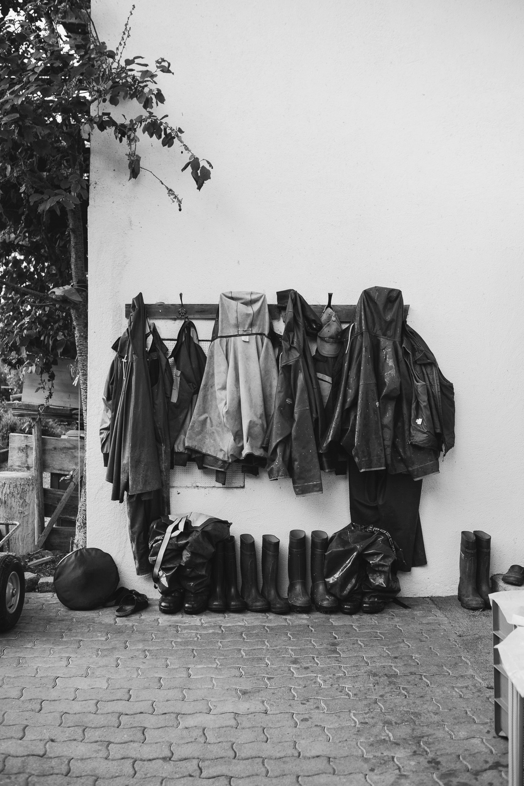 Fischerei_Lex_Fishery_Lake_Chiemsee_by_Amelie_Niederbuchner_Photographer_Munich_Fotograf_Fotografin_München_Food_Reportage 