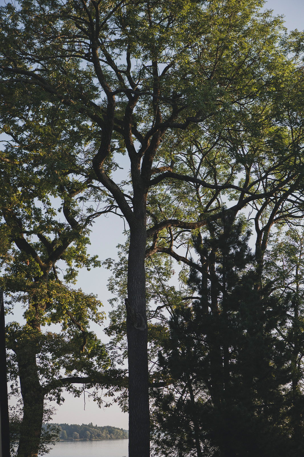 Fischerei_Lex_Fishery_Lake_Chiemsee_by_Amelie_Niederbuchner_Photographer_Munich_Fotograf_Fotografin_München_Food_Reportage 
