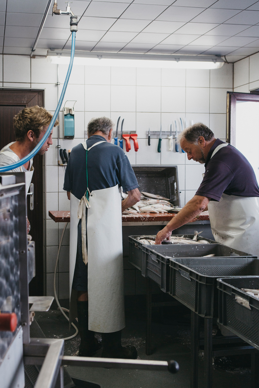 Fischerei_Lex_Fishery_Lake_Chiemsee_by_Amelie_Niederbuchner_Photographer_Munich_Fotograf_Fotografin_München_Food_Reportage 