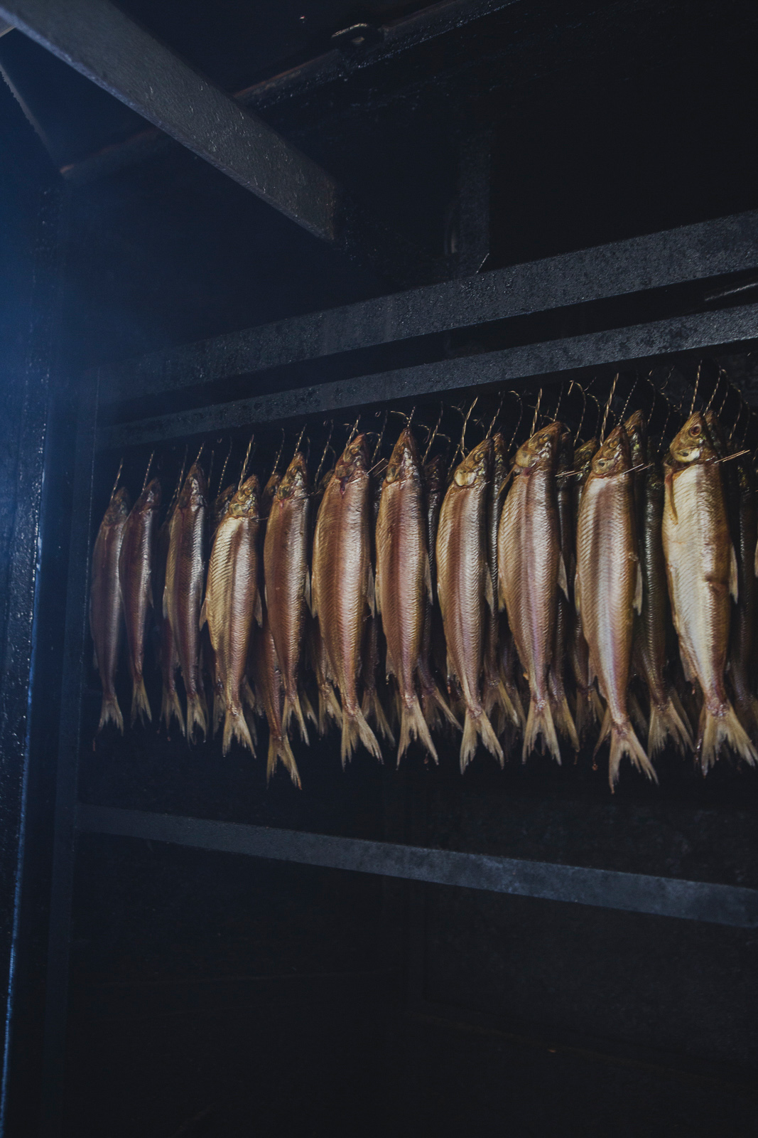 Fischerei_Lex_Fishery_Lake_Chiemsee_by_Amelie_Niederbuchner_Photographer_Munich_Fotograf_Fotografin_München_Food_Reportage 