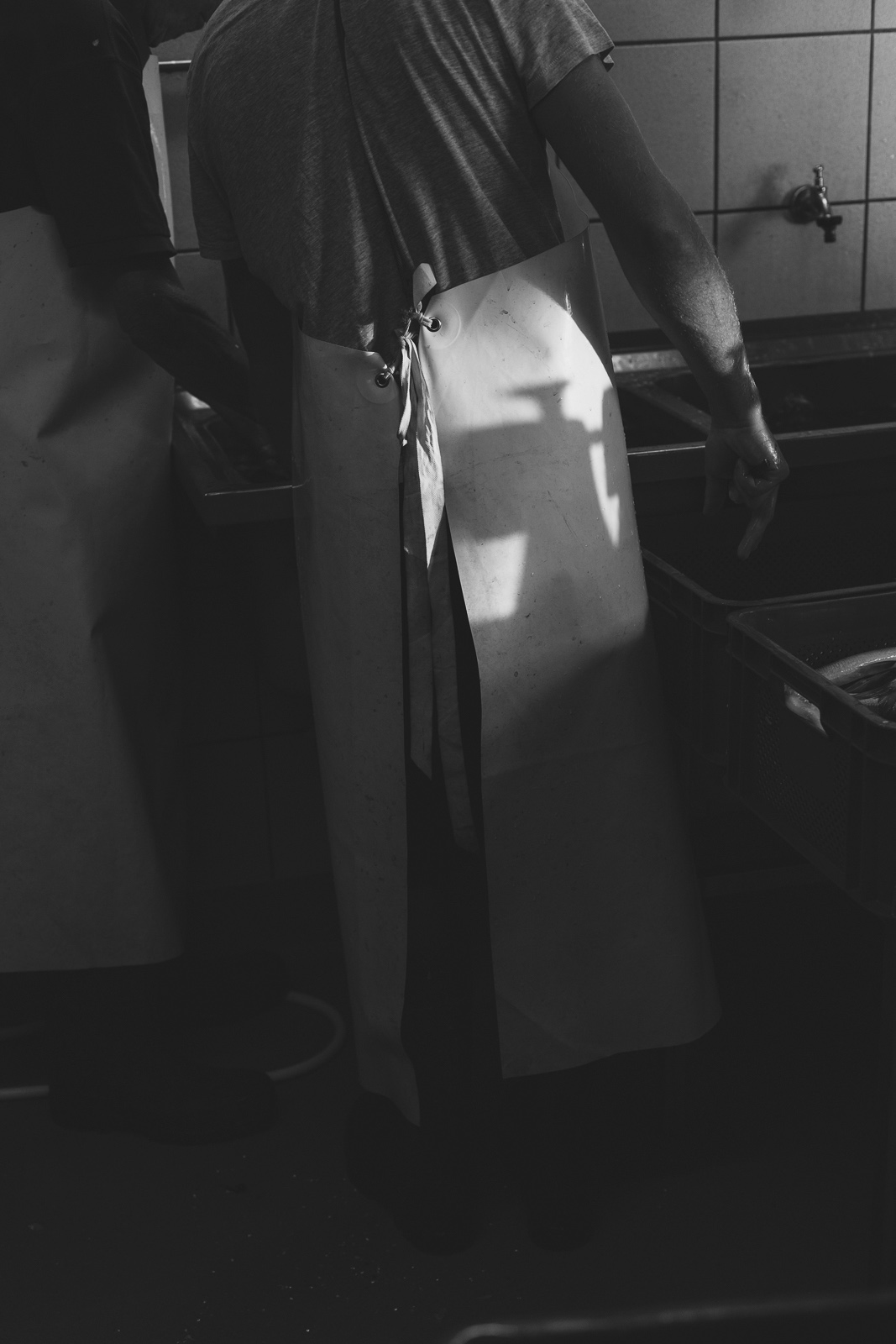 Fischerei_Lex_Fishery_Lake_Chiemsee_by_Amelie_Niederbuchner_Photographer_Munich_Fotograf_Fotografin_München_Food_Reportage 