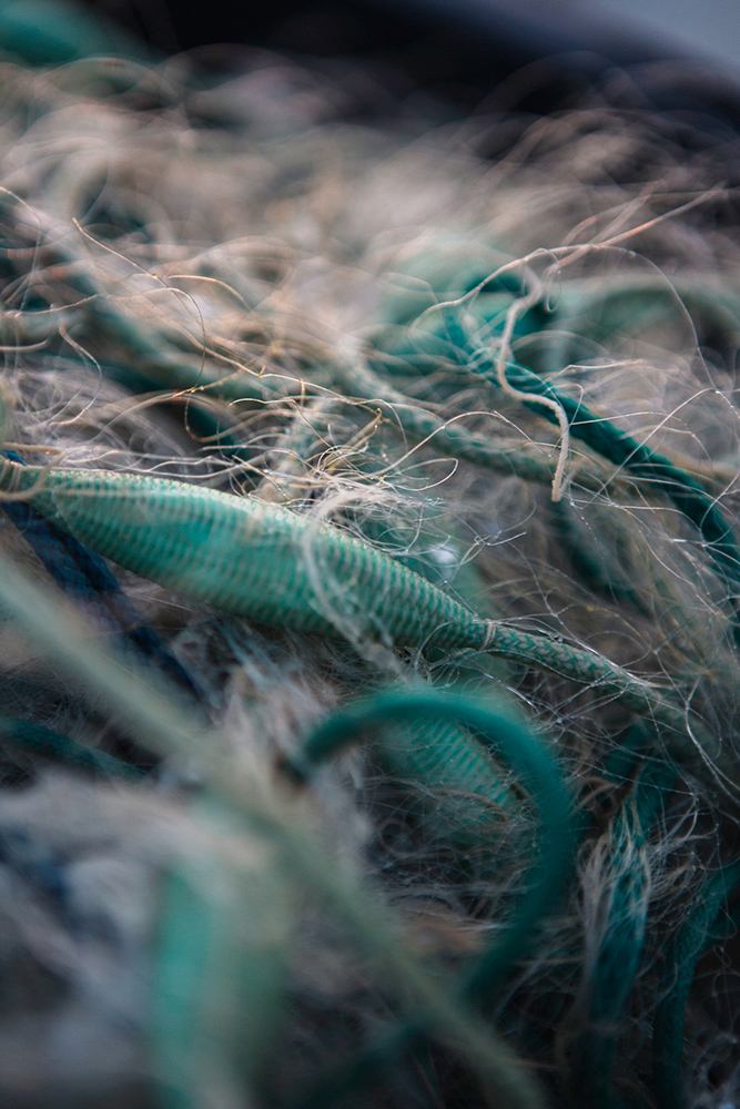 Amelie Niederbuchner