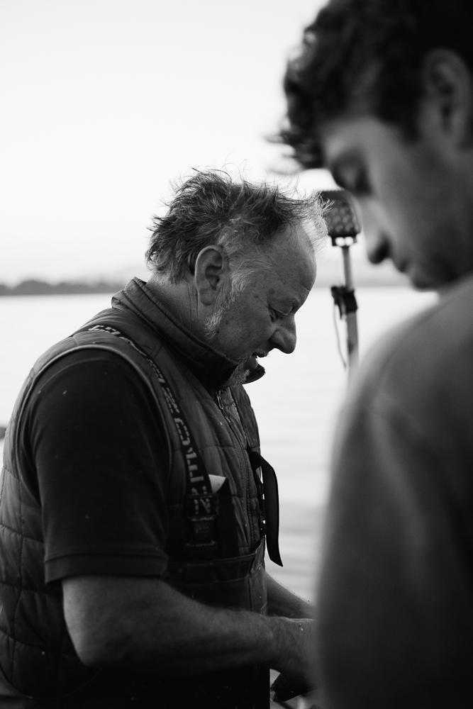 Amelie Niederbuchner