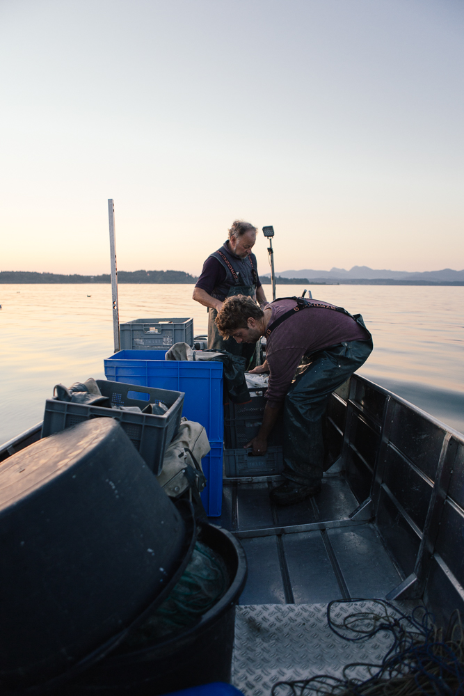 Amelie Niederbuchner