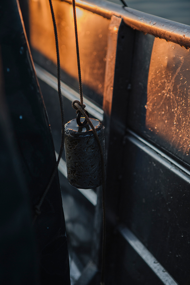 Amelie Niederbuchner