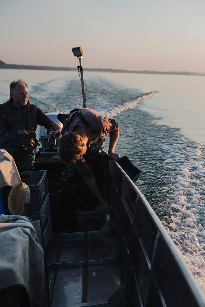 Amelie Niederbuchner