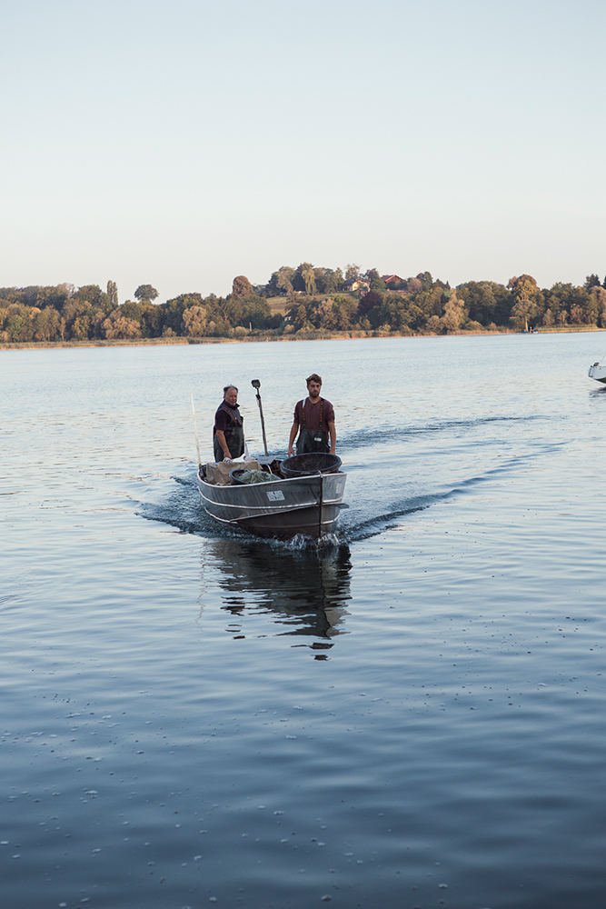 Amelie Niederbuchner