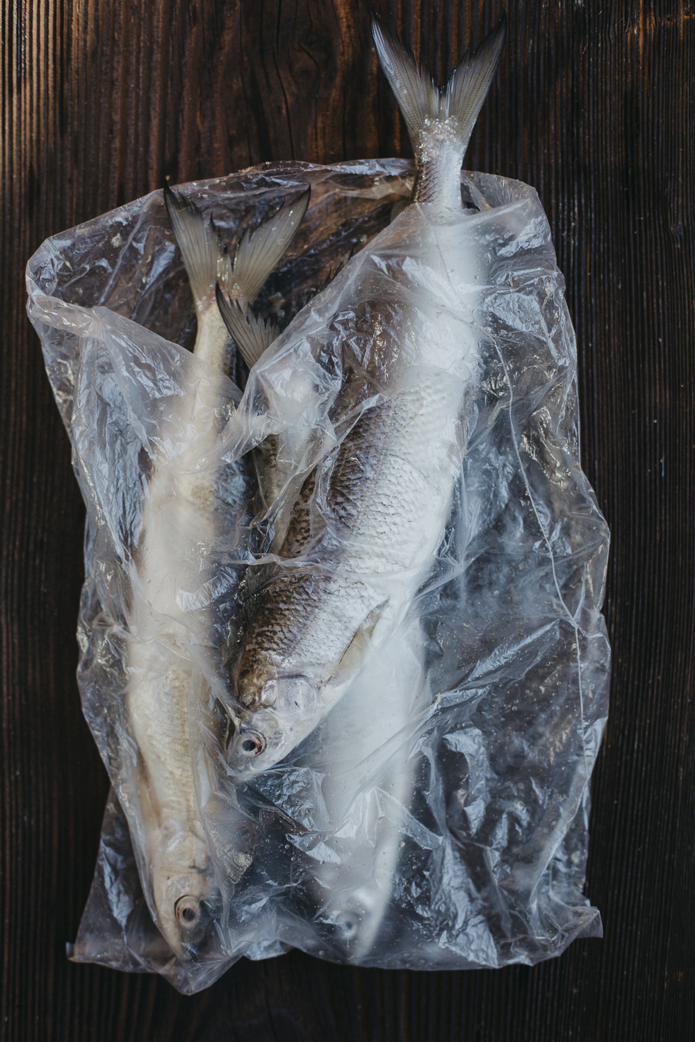 Amelie Niederbuchner