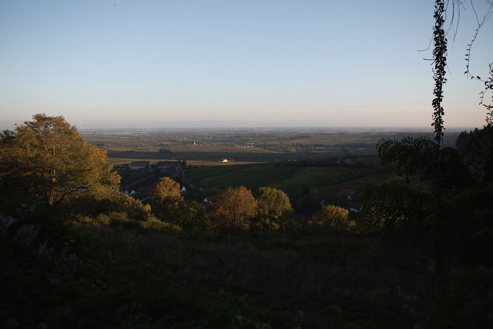 Forler_Portrait_Reportage_by_Amelie_Niederbuchner_Fotograf_Fotografin_Photographer_Munich_Food_People_München 