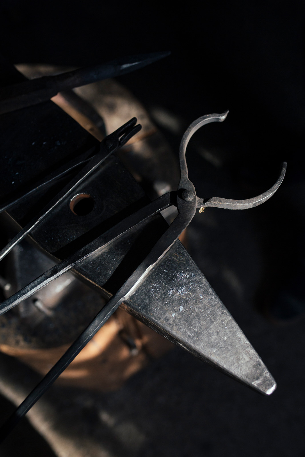 Forler_Portrait_Reportage_by_Amelie_Niederbuchner_Fotograf_Fotografin_Photographer_Munich_Food_People_München 