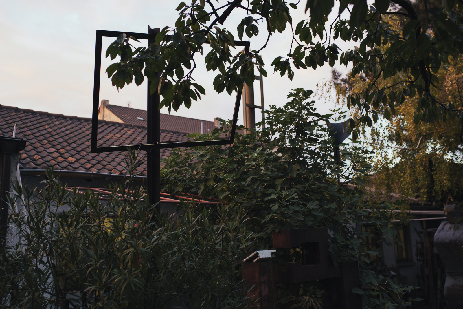 Forler_Portrait_Reportage_by_Amelie_Niederbuchner_Fotograf_Fotografin_Photographer_Munich_Food_People_München 