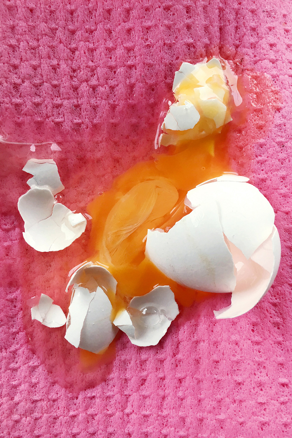 Amelie Niederbuchner