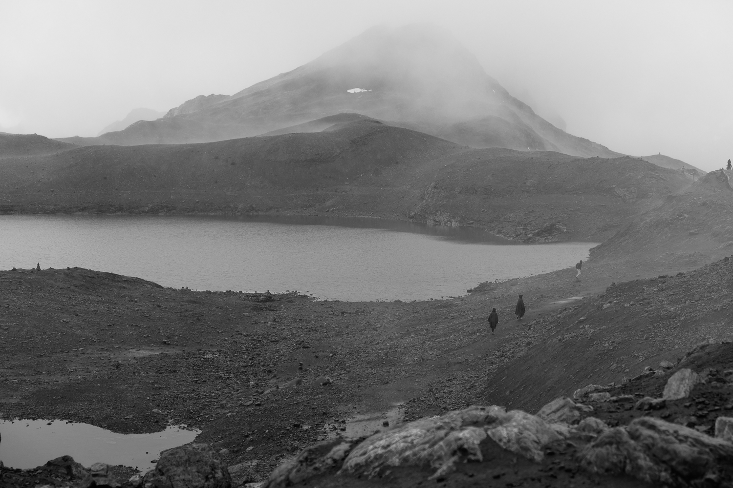 Amelie Niederbuchner