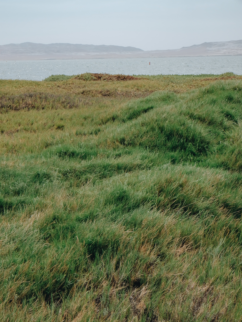 Amelie Niederbuchner