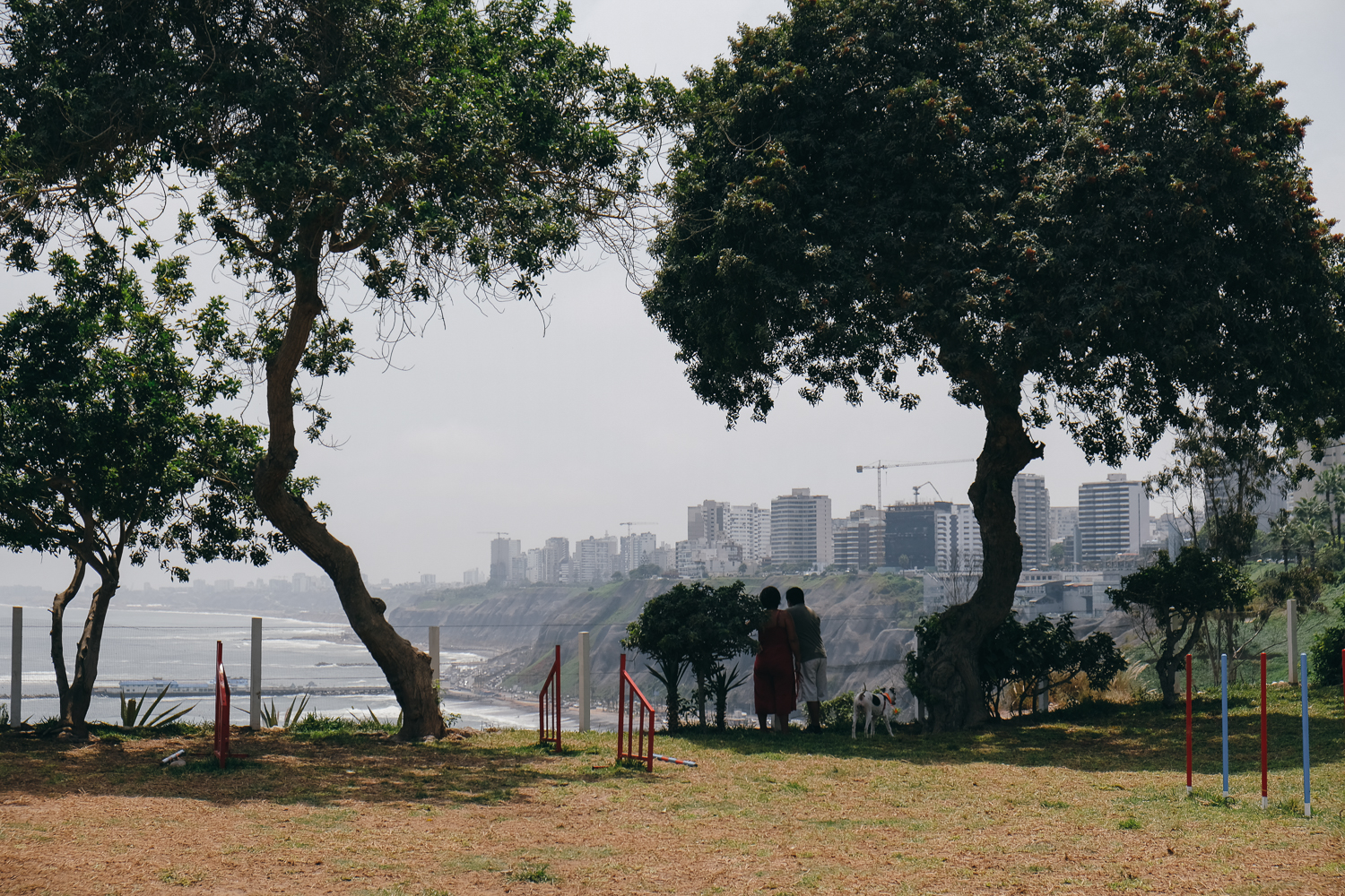 Amelie Niederbuchner