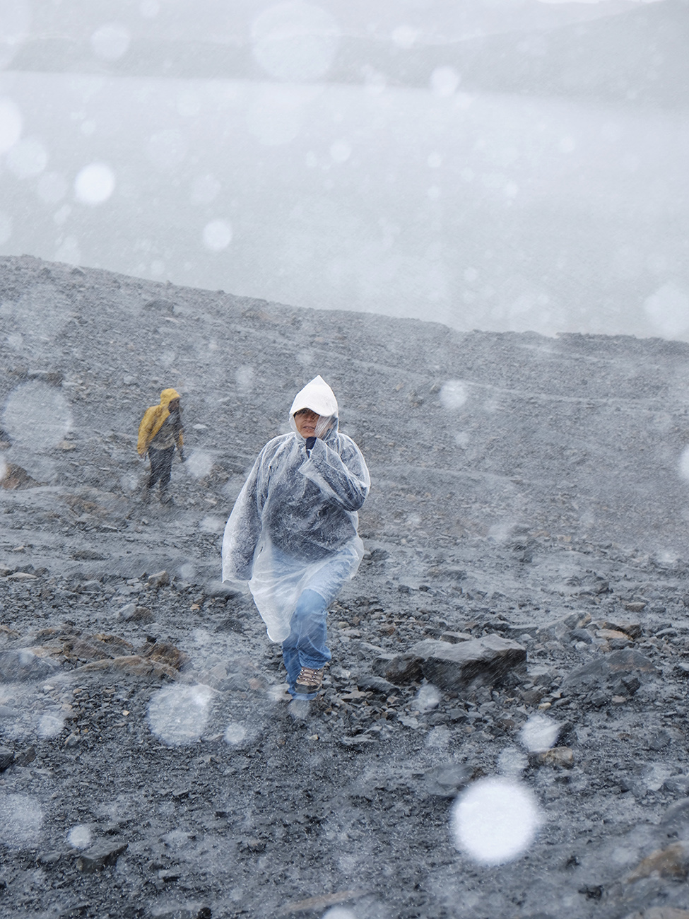 Amelie Niederbuchner