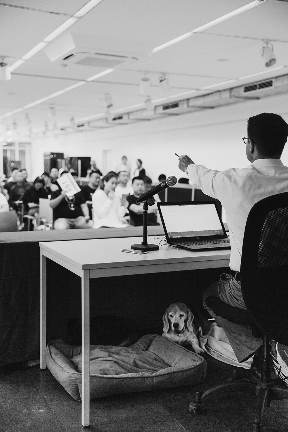 Nagel_Auctions Asiatika Salzburg for Stuttgarter Zeitung Magazin by Amelie Niederbuchner, Photographer Munich München 