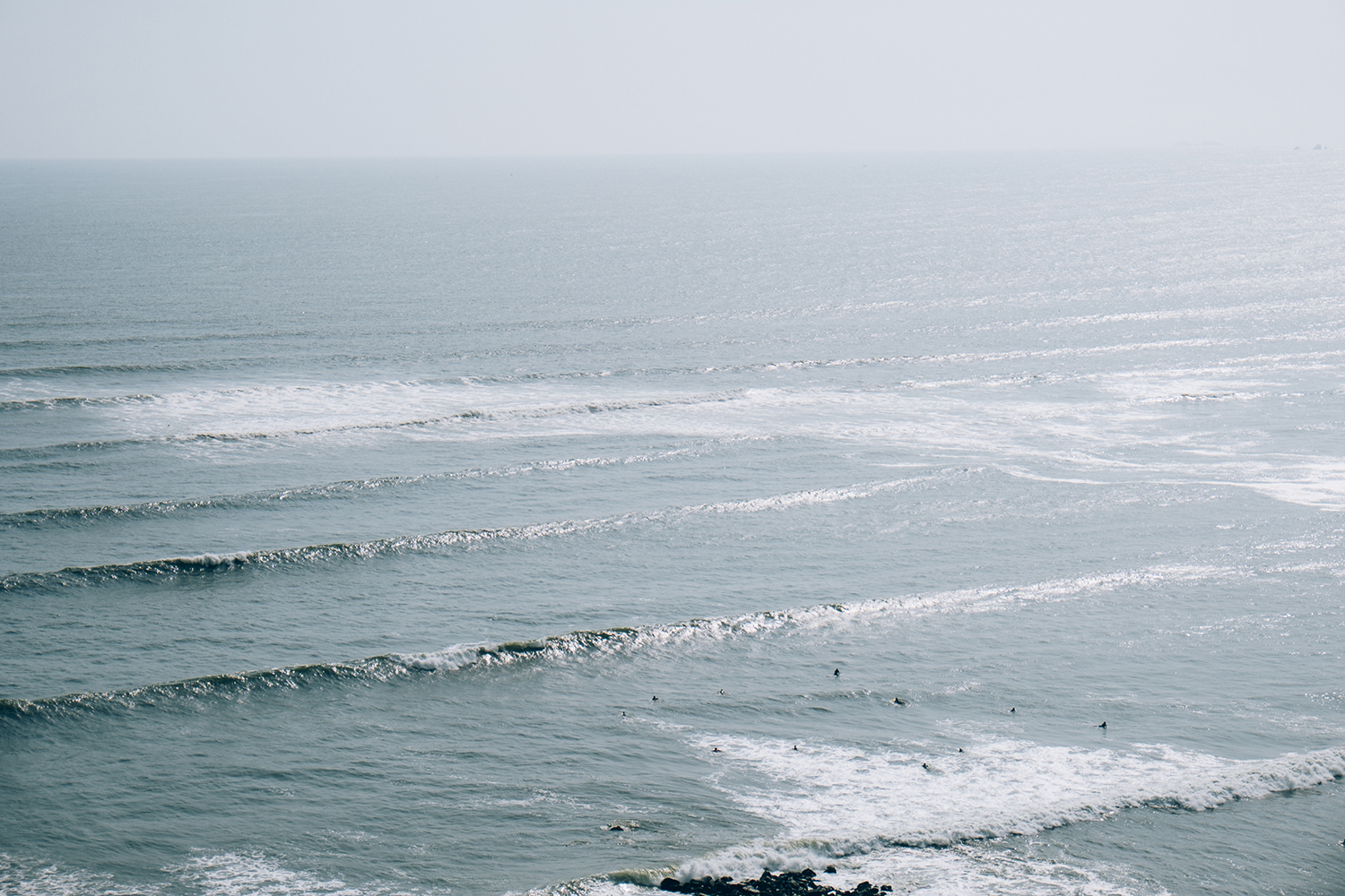 Amelie Niederbuchner