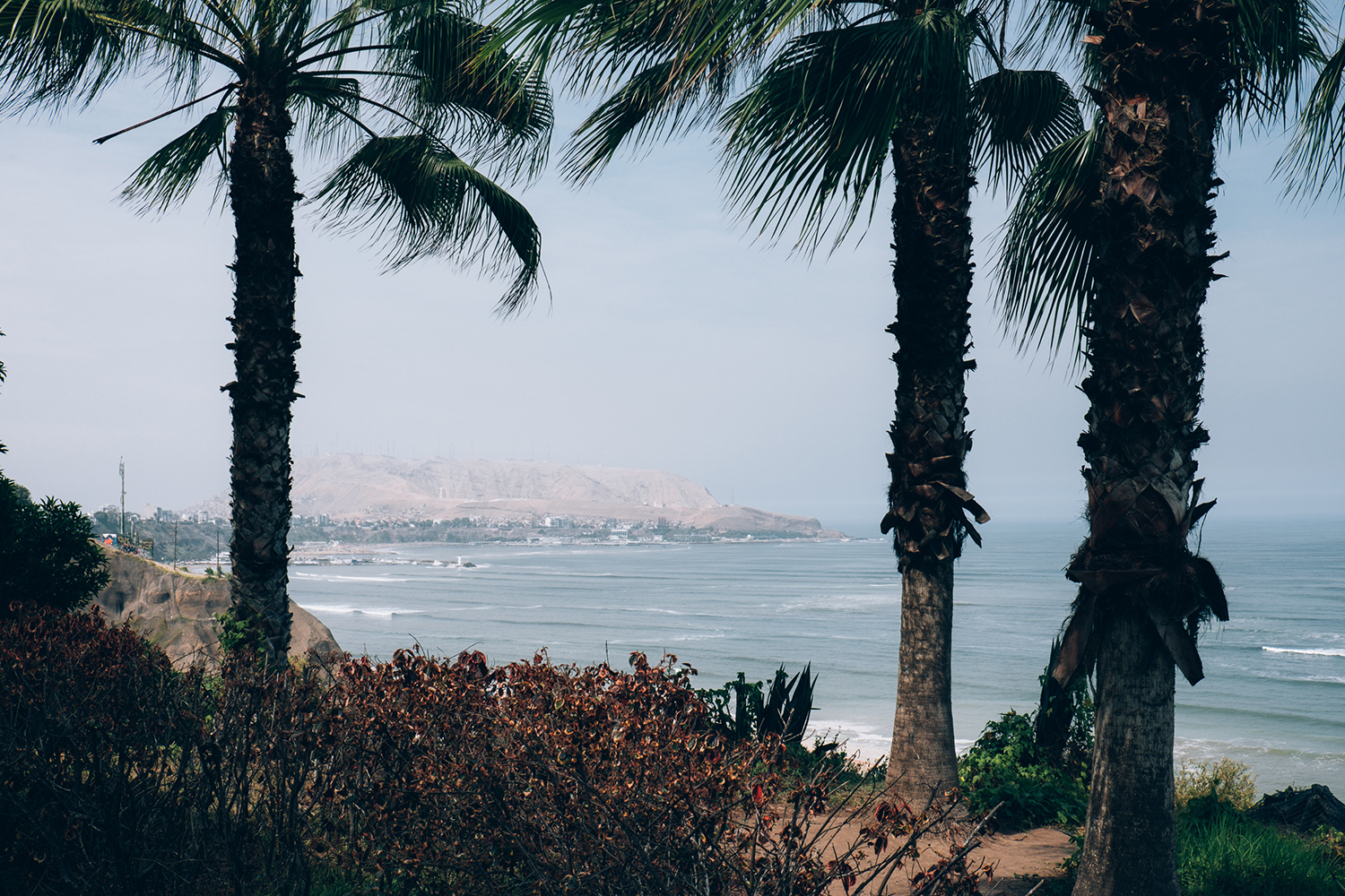 Amelie Niederbuchner