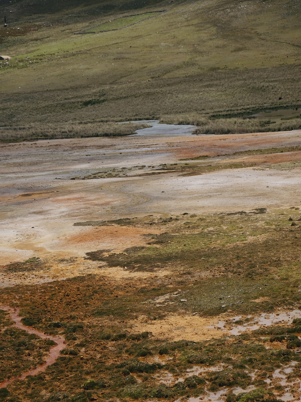 Amelie Niederbuchner