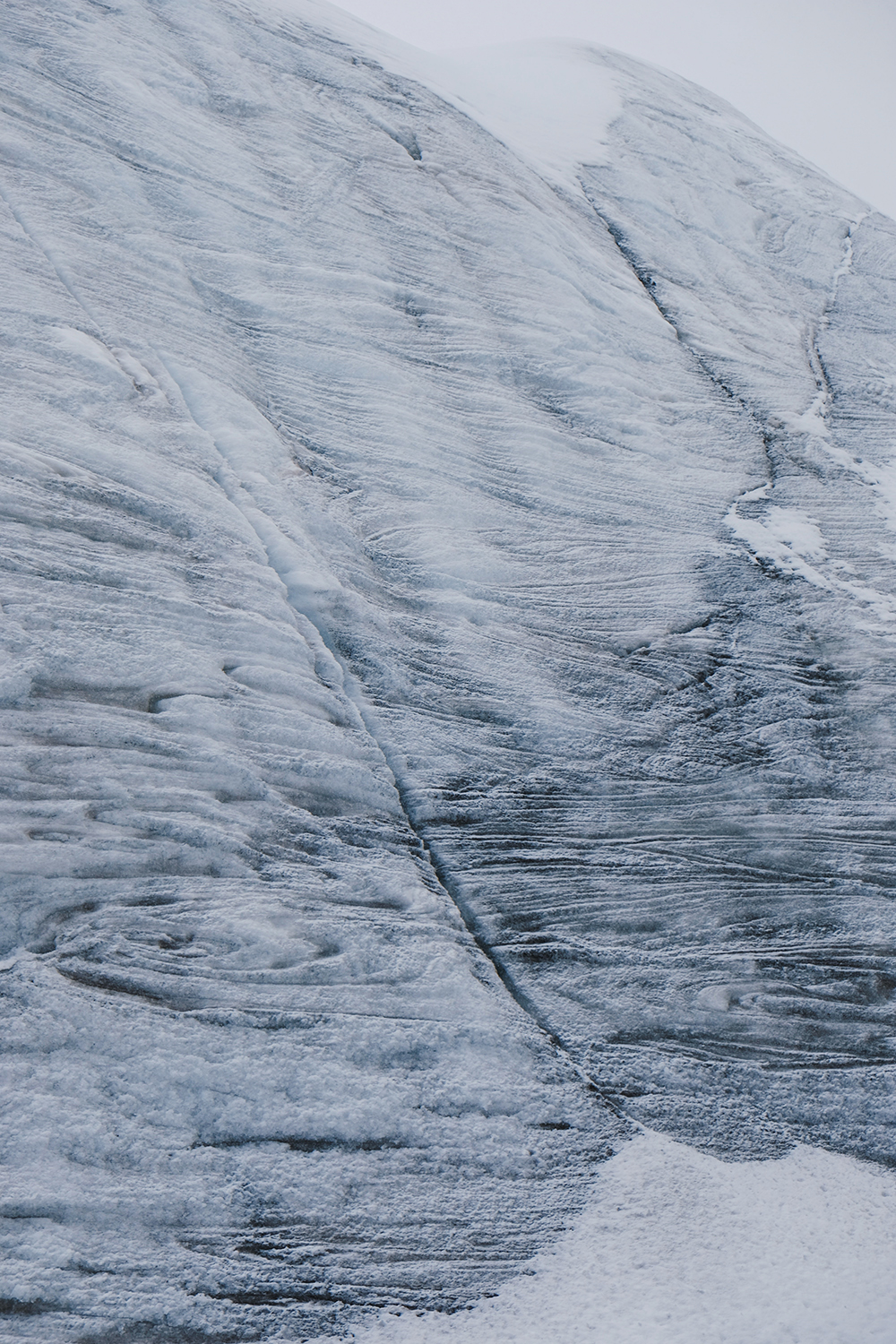 Amelie Niederbuchner