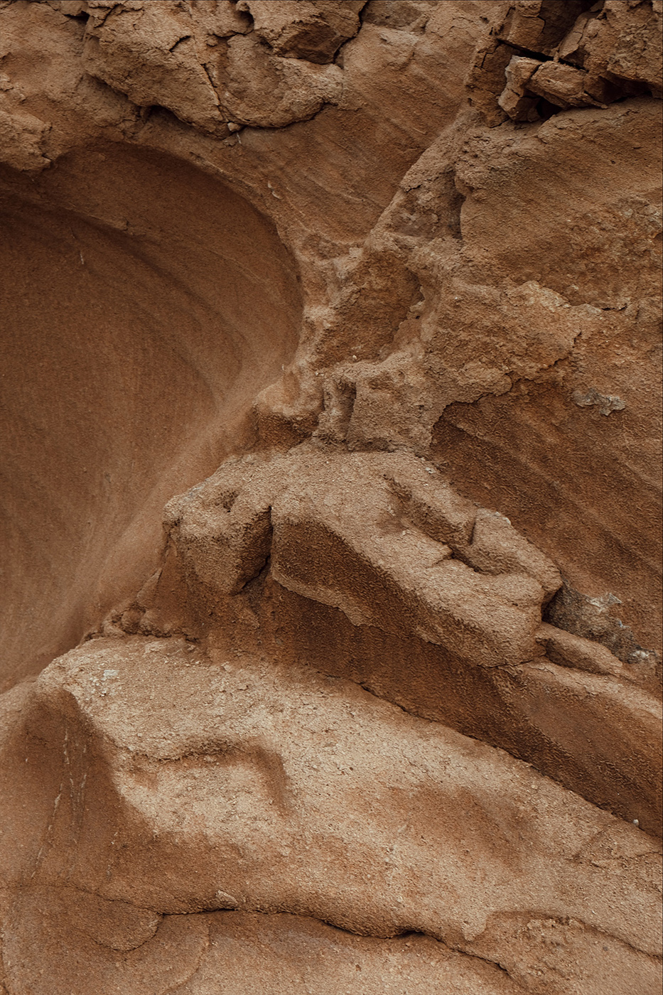 Amelie Niederbuchner