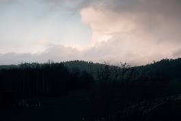Amelie Niederbuchner
