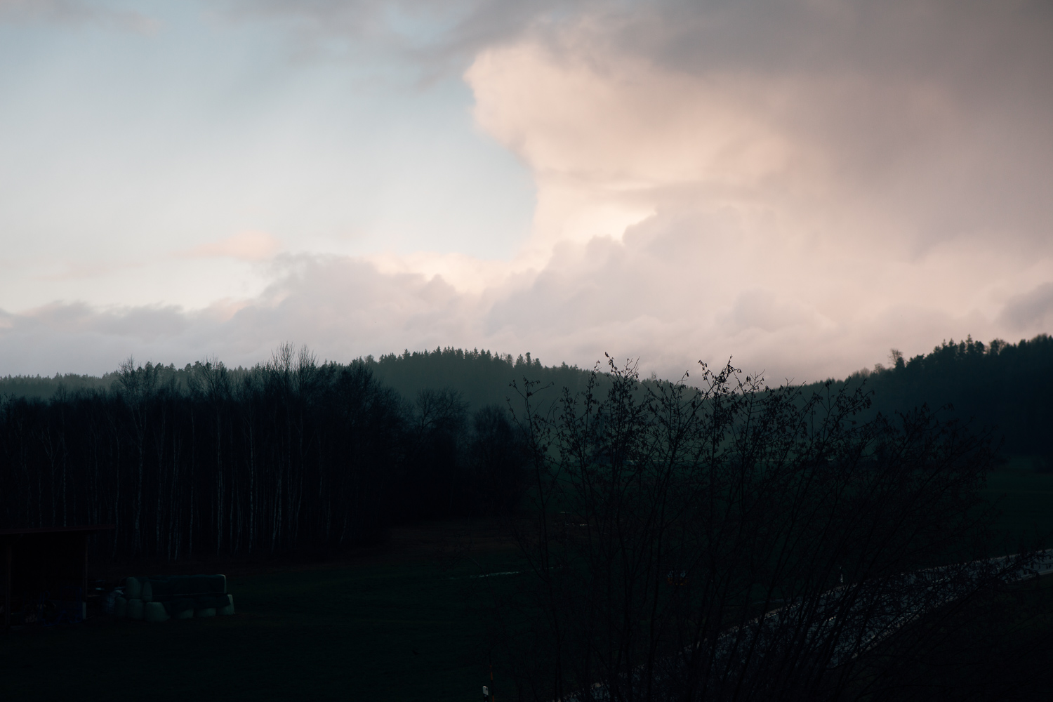 Amelie Niederbuchner