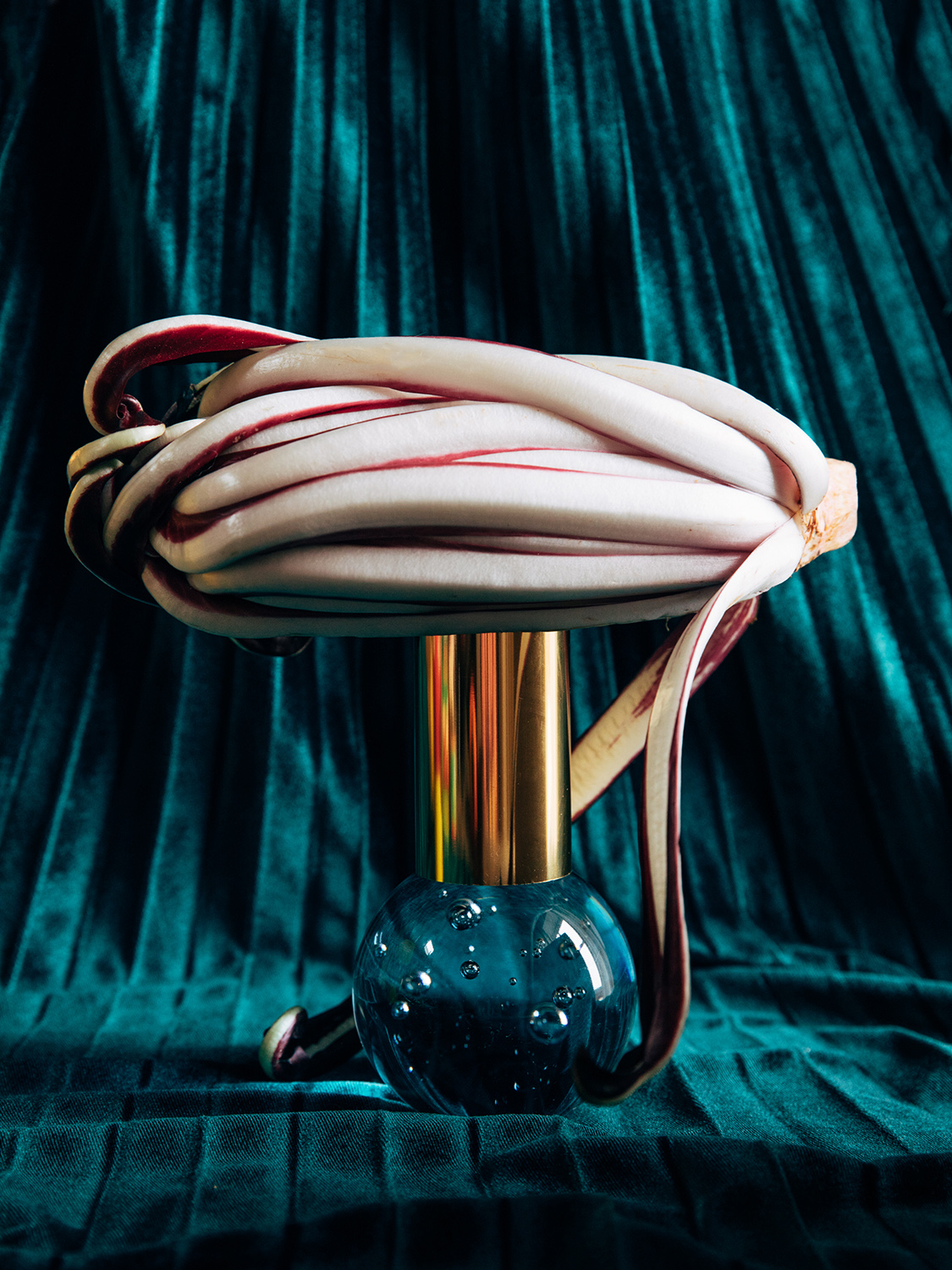 Amelie Niederbuchner