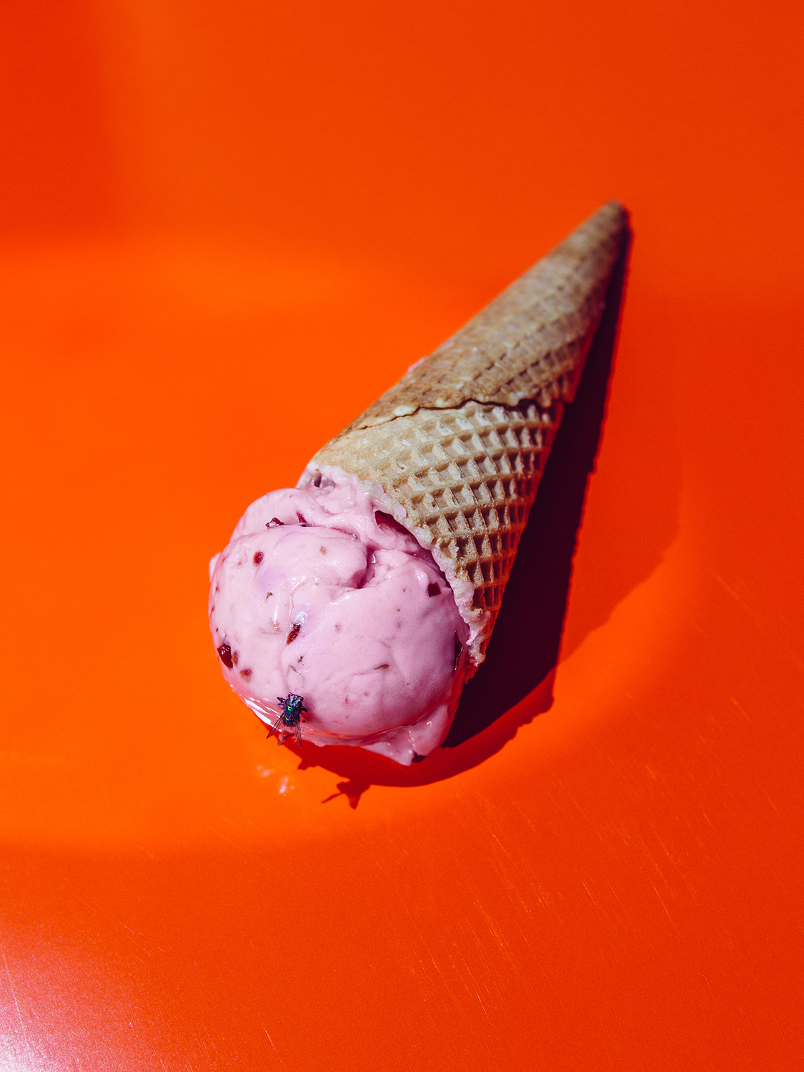 Amelie Niederbuchner