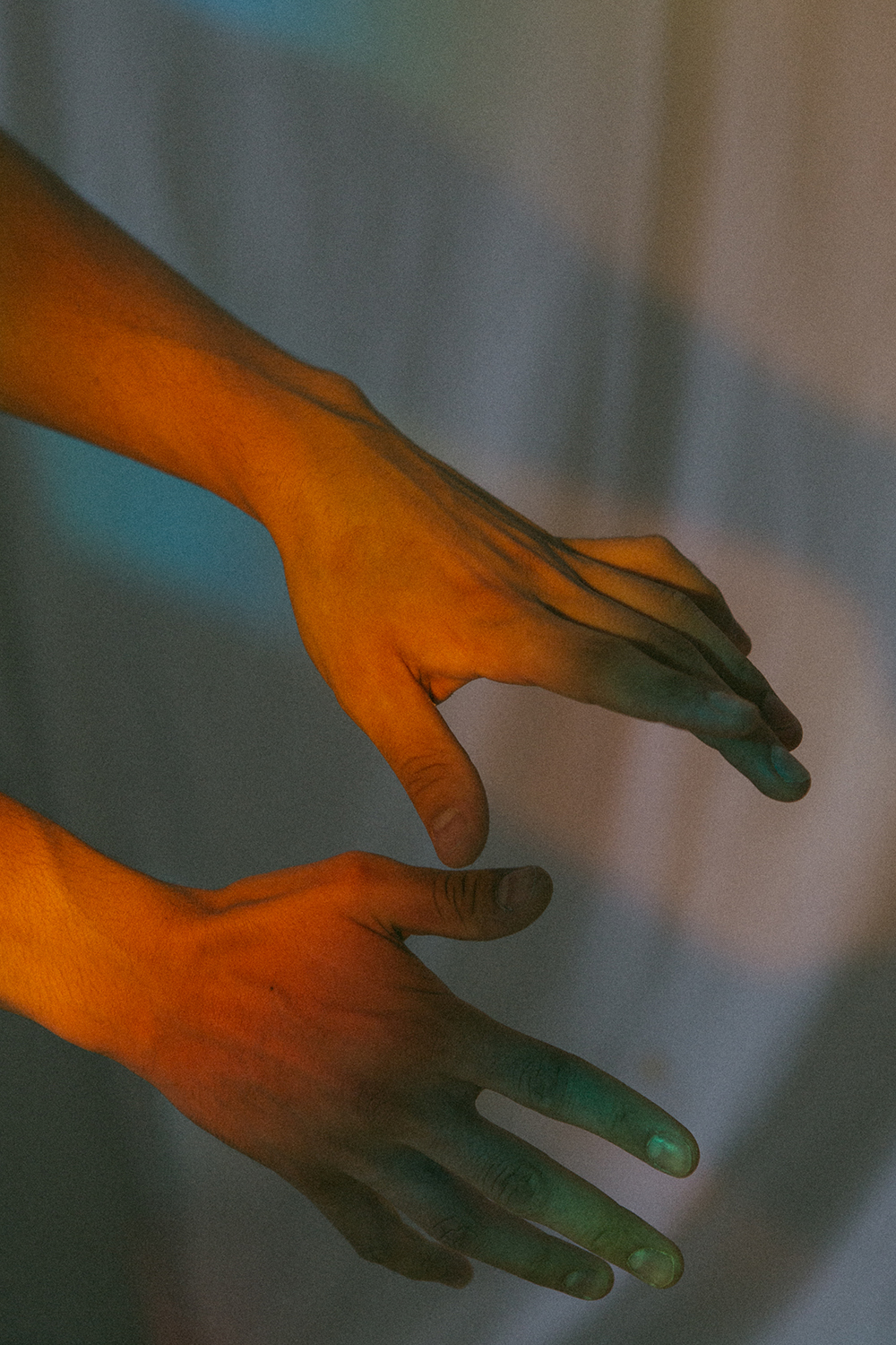 Amelie Niederbuchner