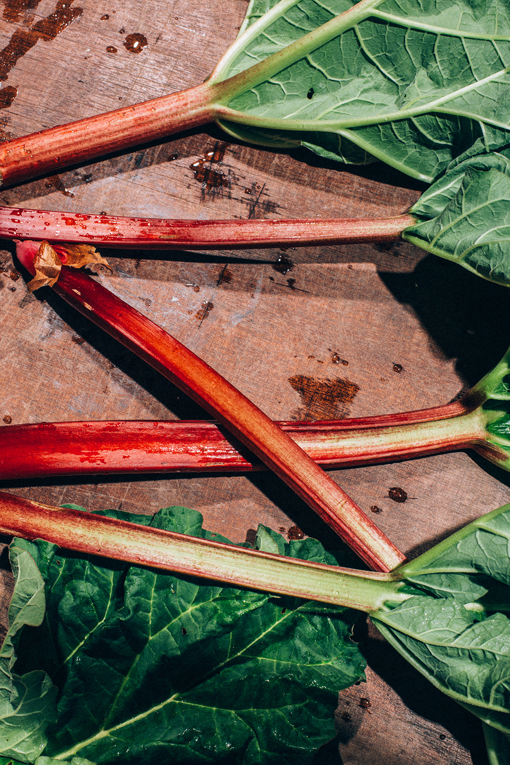 Amelie Niederbuchner