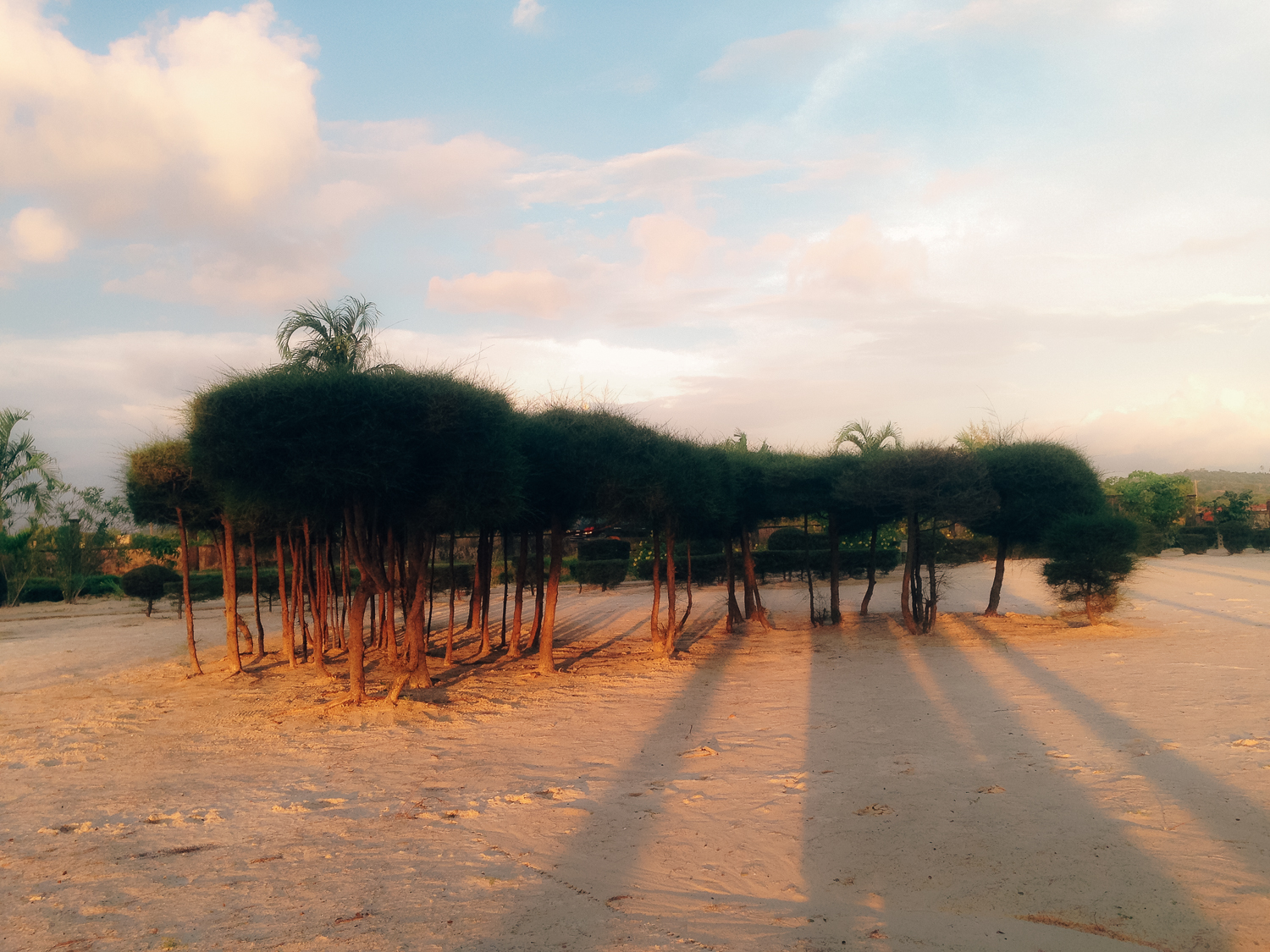 Amelie Niederbuchner