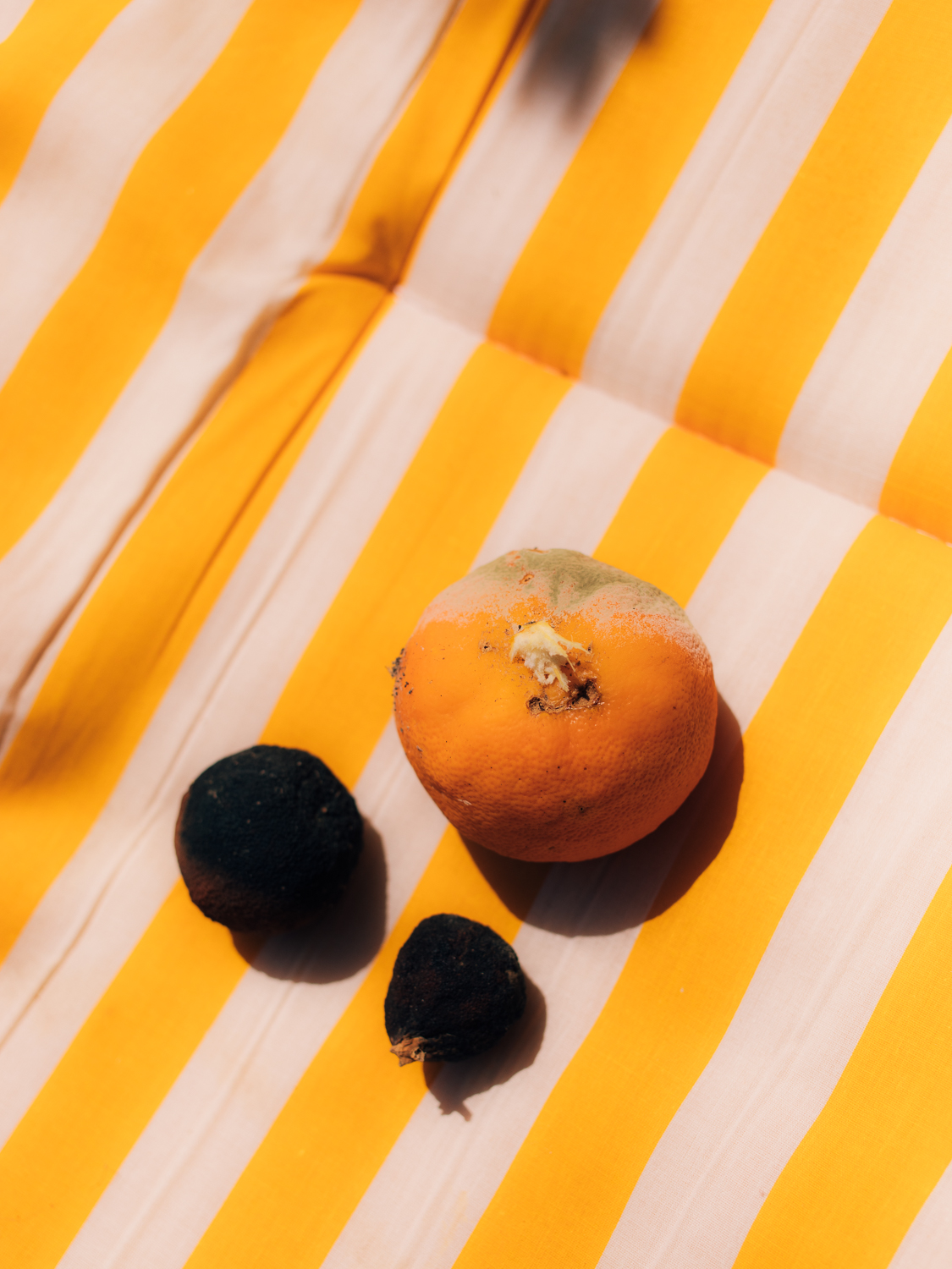 Amelie Niederbuchner