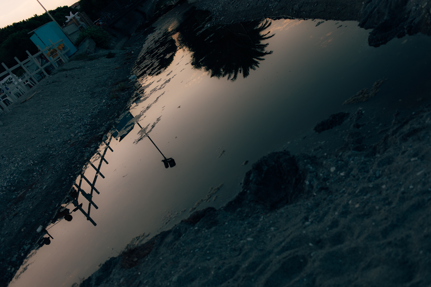 Amelie Niederbuchner