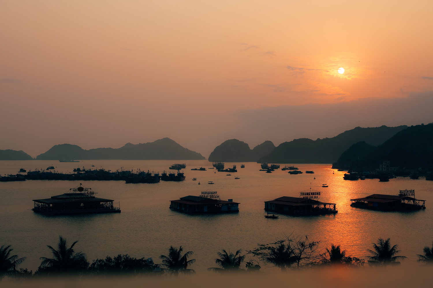 Amelie Niederbuchner