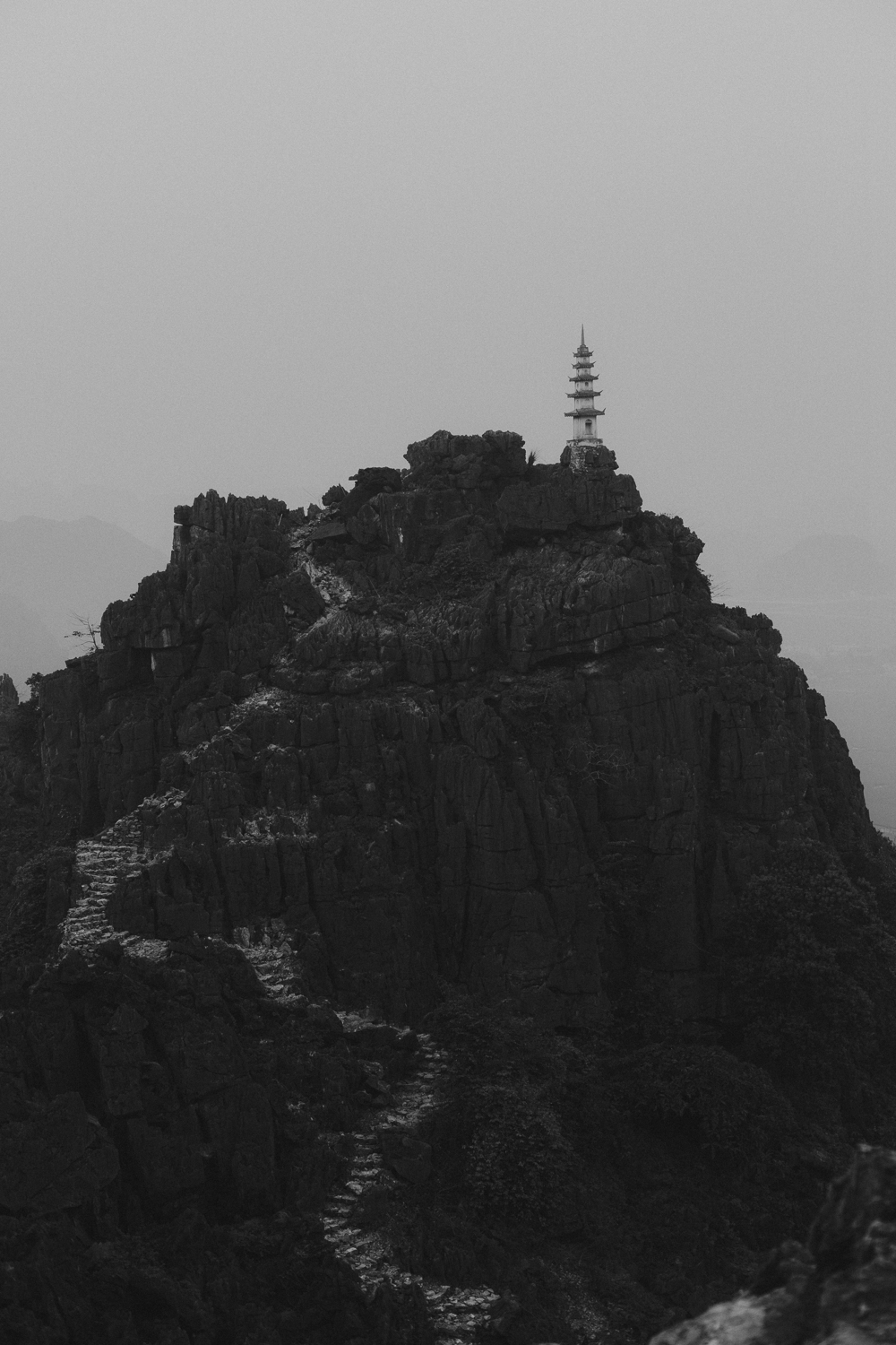 Amelie Niederbuchner