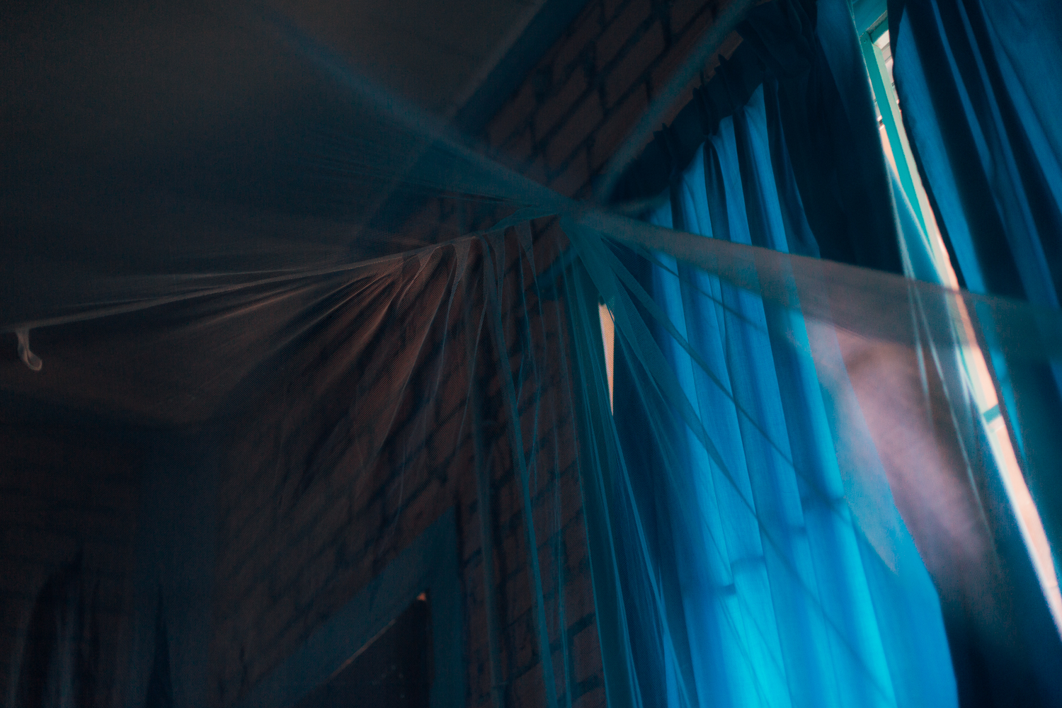 Amelie Niederbuchner