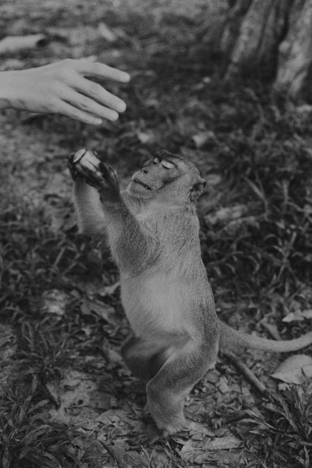 Amelie Niederbuchner