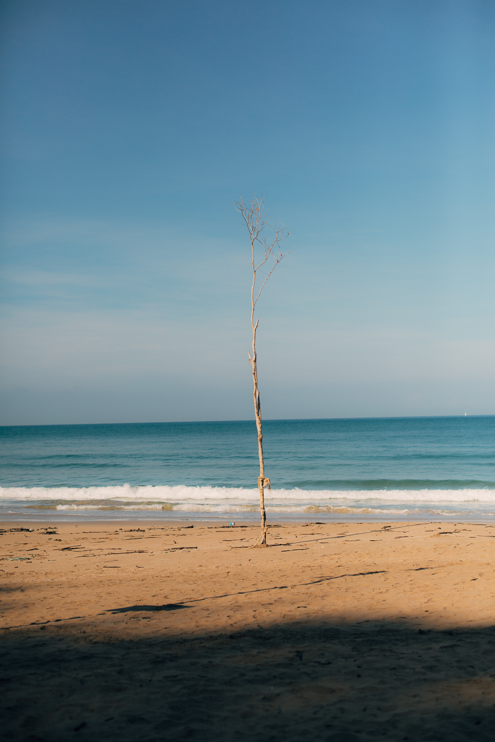 Amelie Niederbuchner