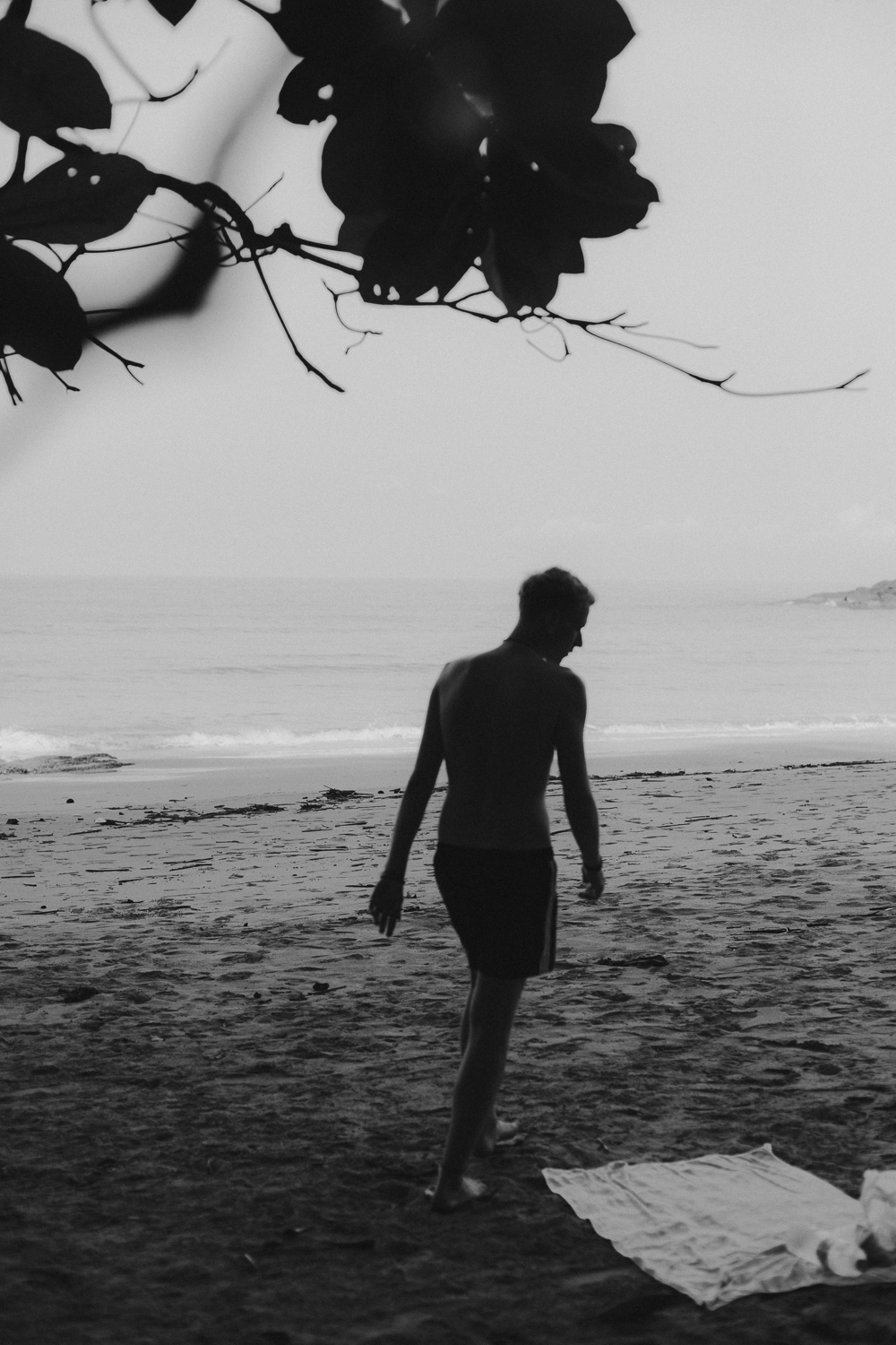 Amelie Niederbuchner