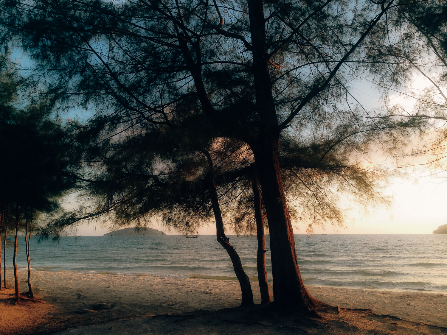 Amelie Niederbuchner