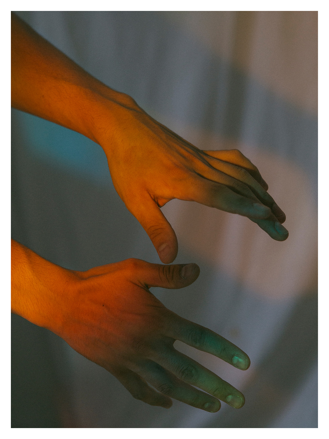 Amelie Niederbuchner