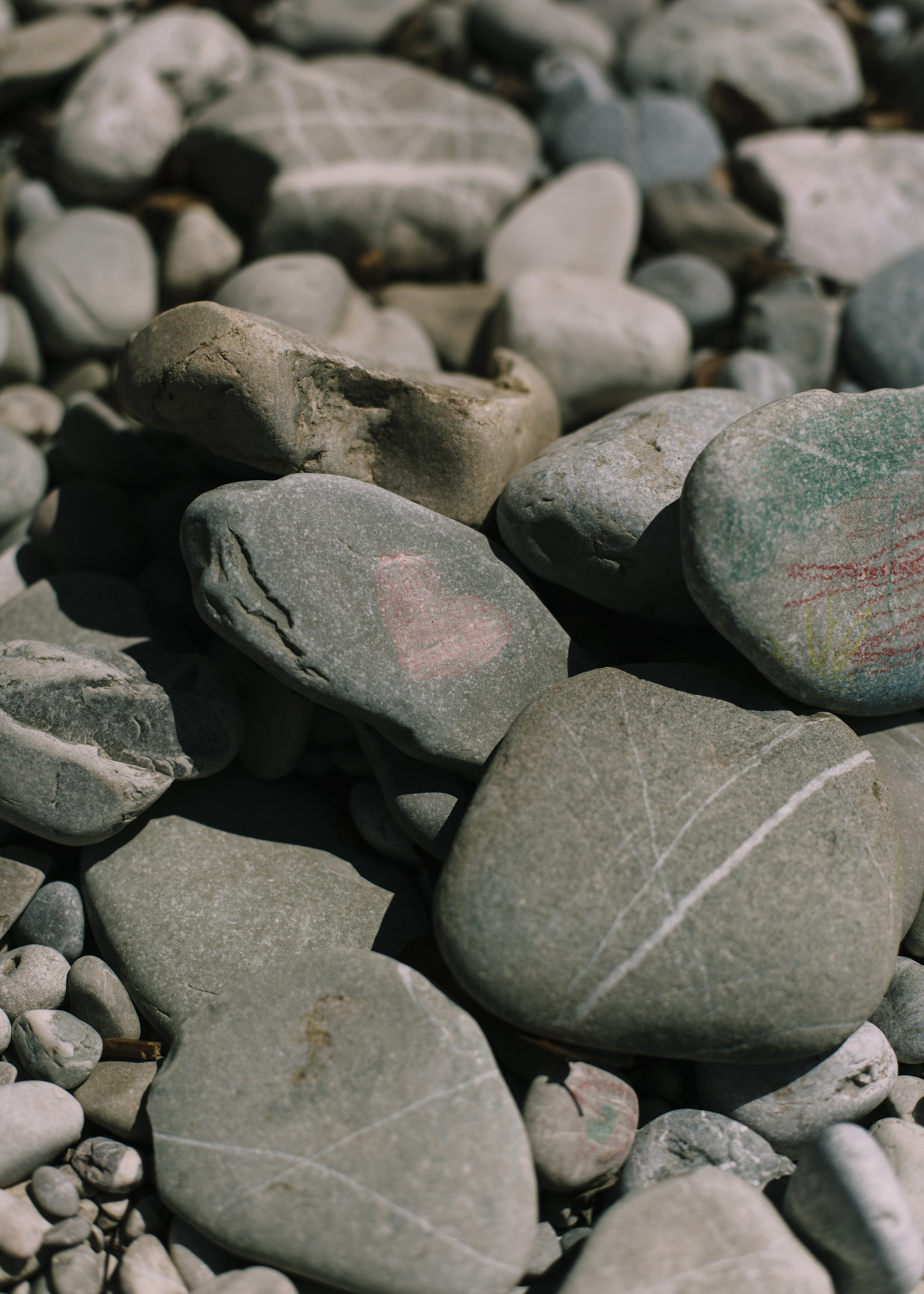 Amelie Niederbuchner